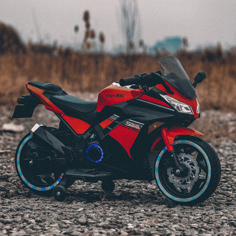 Kids Electric Motorcycle with Dual Battery Options (DLS07)